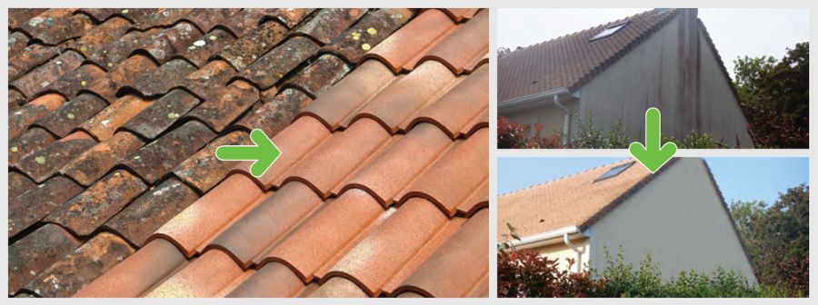 Guard Cleaner® Anti M 24