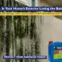 How to Protect Your Home from UV Damage, Moss & Humidity?
