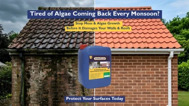 How to Stop Moss & Algae Growth on Walls and Roofs?