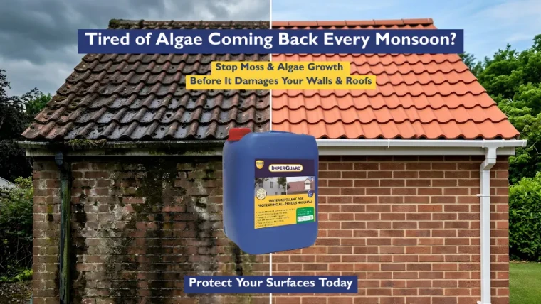 How to Stop Moss & Algae Growth on Walls and Roofs?