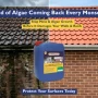 How to Stop Moss & Algae Growth on Walls and Roofs?