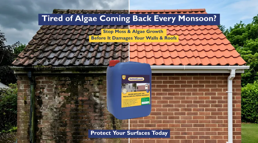 How to Stop Moss & Algae Growth on Walls and Roofs?