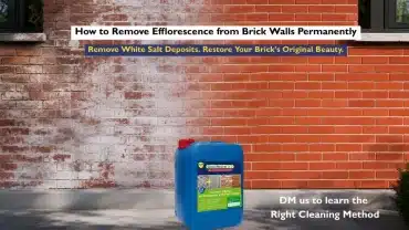 How to Remove Efflorescence from Brick Walls Permanently?