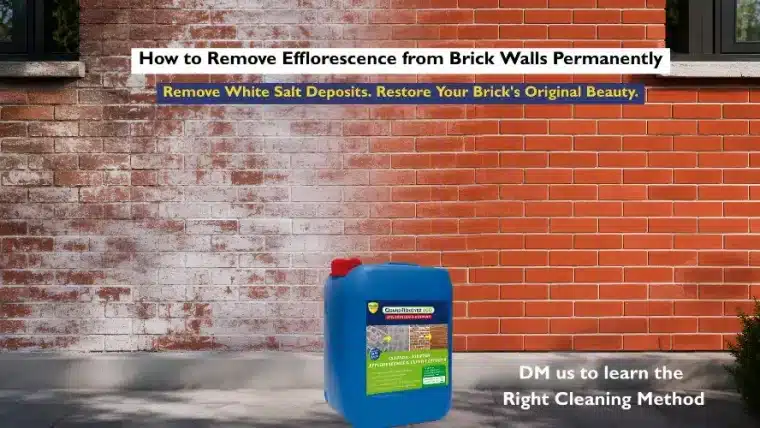 How to Remove Efflorescence from Brick Walls Permanently?